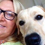 Pet sitter / Dog walker/ Animal healer /Pet communicator /Crystal therapist / reliable and trustworthy.