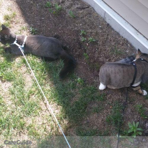 Pet Care Provider Stephanie S's Profile Picture