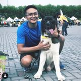 Looking For a Petsitter Job in Philadelphia