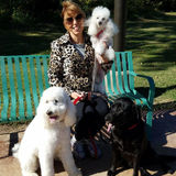 Wonderful Cat and Dog Sitter in Tulsa