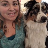 Previously a Vet Assistant