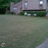 Magnems Landscaping & Handyman Service!