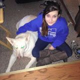 Interviewing For Albany Pet Care Provider Jobs