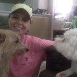Professional pet sitting and dog Walking in Chapin and Irmo.