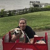 Need a pet sitter, dog walker, and or dog trainer? This veterinary nurse can help!