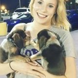 For Hire: Flexible and loving Pet Caregiver in Lambertville and surrounding areas within New Jersey and Pennsylvania.