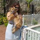 I look after animals as if they are my children.