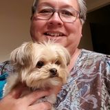 Pet/home sitter, experienced, reliable and mature.