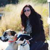 Pet sitter/ Dog walker available