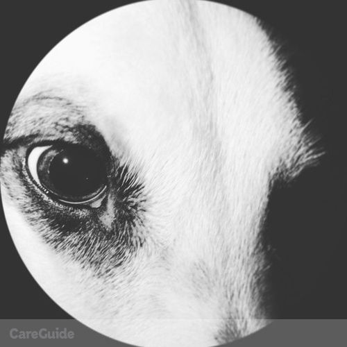 Pet Care Provider Roberto O's Profile Picture