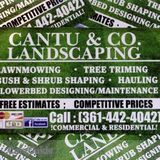 Cantu & Co. Landscaping