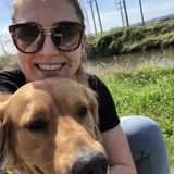 Available: Hard Working Caretaker in Langley