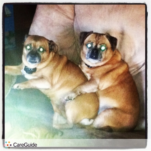 Pet Care Provider Margie S's Profile Picture