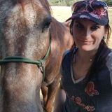 Experienced animal lover, from Horses to mice, and everything in between!