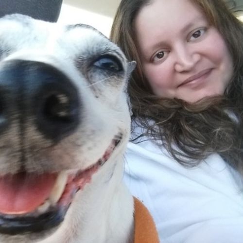 Pet Care Provider Kristen L's Profile Picture