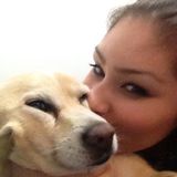 Well Trained House Sitting Service Provider for Hire