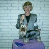 Dependable and Experienced Pet Sitter
