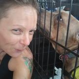 Astatula Pet Sitter Looking For Being Hired in Florida