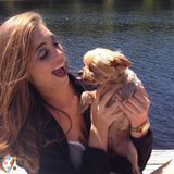 Love pets! Caring for your dog!