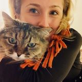 Most Caring House Sitter in Rhode Island