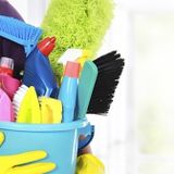 Cheep housekeeper/ organizer service in Nanaimo, British Columbia