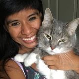 Interviewing For Milledgeville Pet Groomer, Georgia Jobs