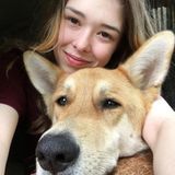 Affordable Sitting and the Best Care for Your Pet!