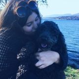 A well experienced dog walker for hire!