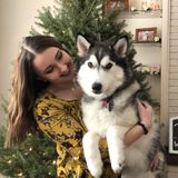 Dog walker, and Pet sitter