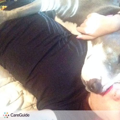 Pet Care Provider Lindsay B's Profile Picture