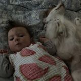 Looking for a loving nanny