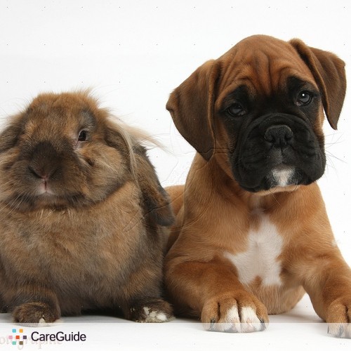 Pet Care Provider Kjia G's Profile Picture