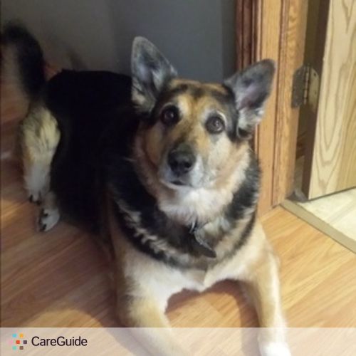 Pet Care Provider Veena P's Profile Picture