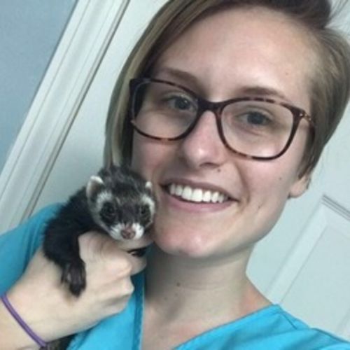Pet Care Provider Avery V's Profile Picture