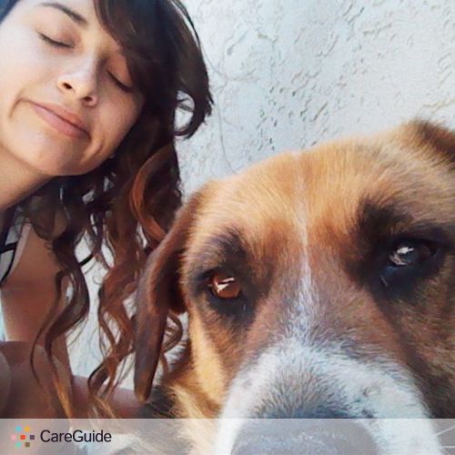 Pet Care Provider Ashley A's Profile Picture