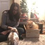 Animal lover! Cat, dog or bunny sitter!
