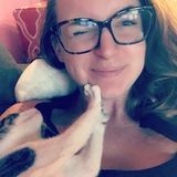 Your Dogs new BFF!