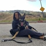 Local Trustworthy Seasoned Housesitter with a smile