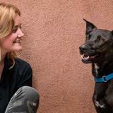 Dedicated Dog Walking
Attentive pet sitting