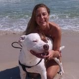 I am an animal lover and grew up in a house with cats and a dog. I am very flexible with scheduling day or night.