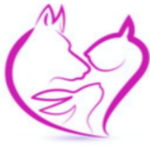 Pet Care Provider R & R Pet S's Profile Picture