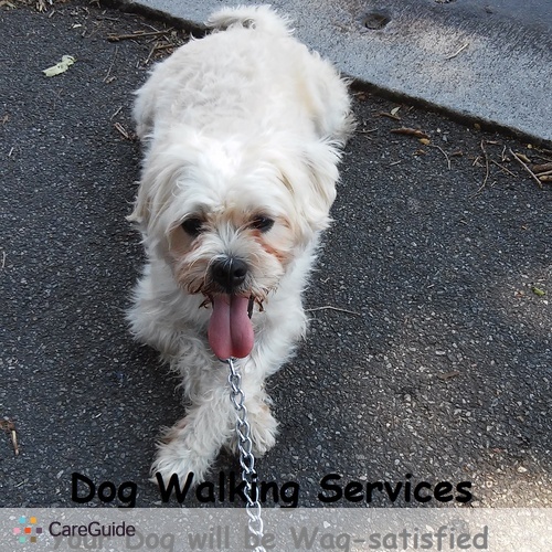 Pet Care Provider Monique Henderson's Profile Picture