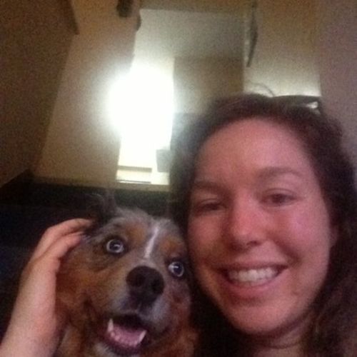 Pet Care Provider Courtney S's Profile Picture