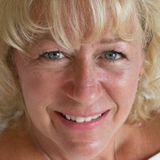 Hard Working Housesitter in Salisbury