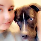 Available For a Pet Sitting Professional Job in State College