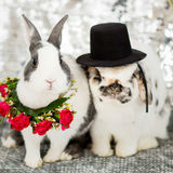 Hire the Rabbit Lady