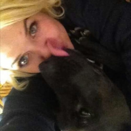 Pet Care Provider Sara H's Profile Picture