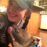 Pet Care Services