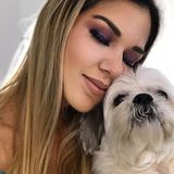 Looking For a Pet Trainer Job in Miami, Florida