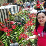 Good Companion Carer Available Immediately